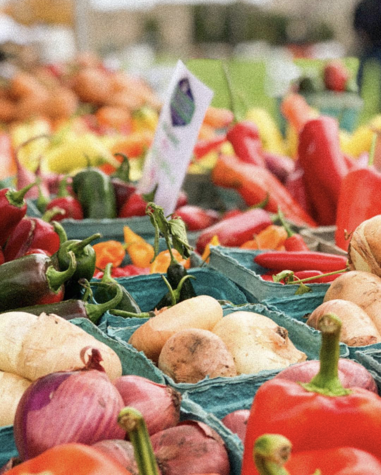 A colorful array of onions, red and green peppers in small, bluish, square containers.